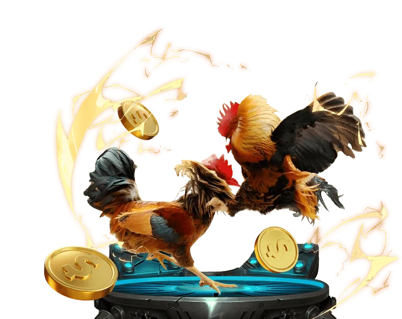 Hoàn trả đá gà hàng ngày